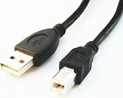 Gembird CCP-USB2-AMBM-6 USB cable 1.82 m USB A USB B Black
