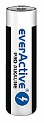 Alkaline batteries everActive Pro Alkaline LR6 AA - shrink pack - 10 pieces