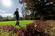 Cordless Leaf Blower Lb 18 Ltx Bl 601607850 METABO