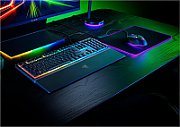 Tastatura Razer Ornata V3 - Low Profile Gaming  TECH SPECS SWITCH TYPE Razer™ Mecha-Membrane Switches APPROXIMATE SIZES Full Size LIGHTING 10 Razer Chroma™ RGB Lighting Zones WRIST REST Yes ONBOARD MEMORY None MEDIA KEYS Dedicated Media Controls PASSTHROUGH None CONNECTIVITY Wired - Attached KEYCAPS