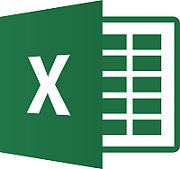 MS OVS Excel Lic/SA ADD 1Y1Y [NL]