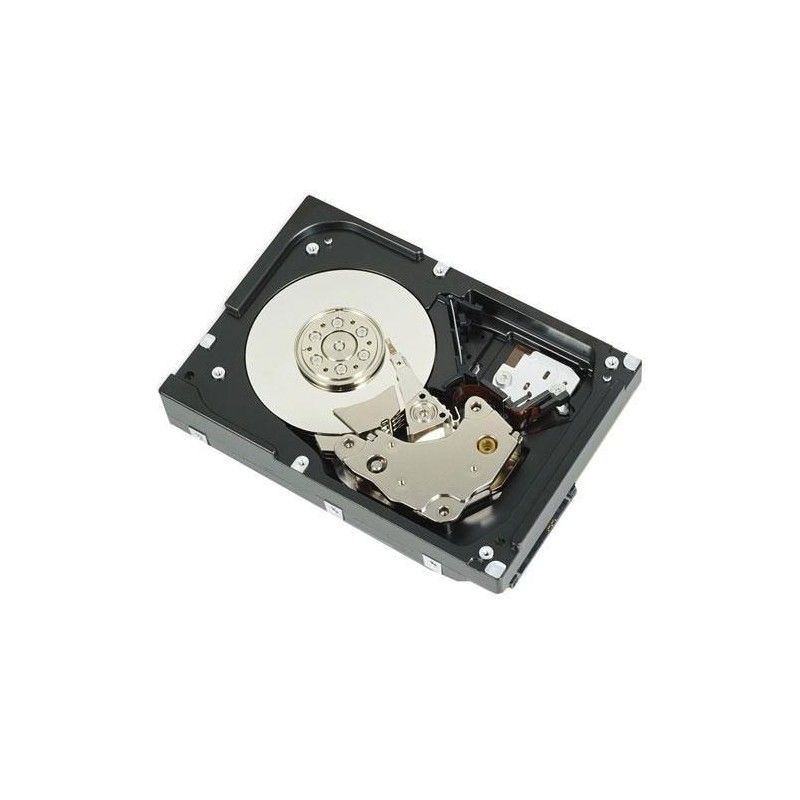 HDD server Dell 400-AUPW 1 TB 3.5 inch SATA 6G 7200 rpm 512n