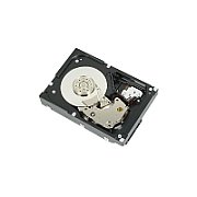 HDD server Dell 400-AUPW 1 TB 3.5 inch SATA 6G 7200 rpm 512n