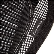 Fellowes Ergonomics professional mesh back support cushion