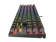 Genesis | THOR 303 TKL | Black | Mechanical Gaming Keyboard | Wired | RGB LED light | US | USB Type-A | 865 g | Replaceable  HOT SWAP  Switches