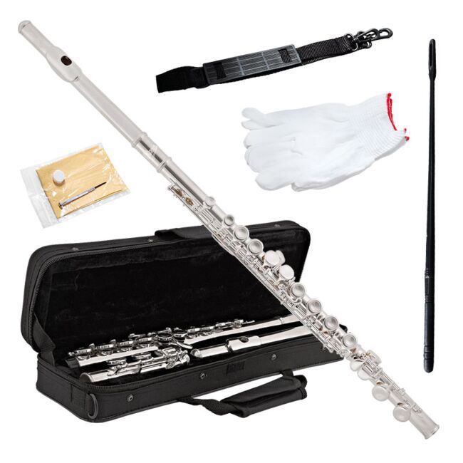 V-TONE VFL 16 Flute Metal C-Key Case