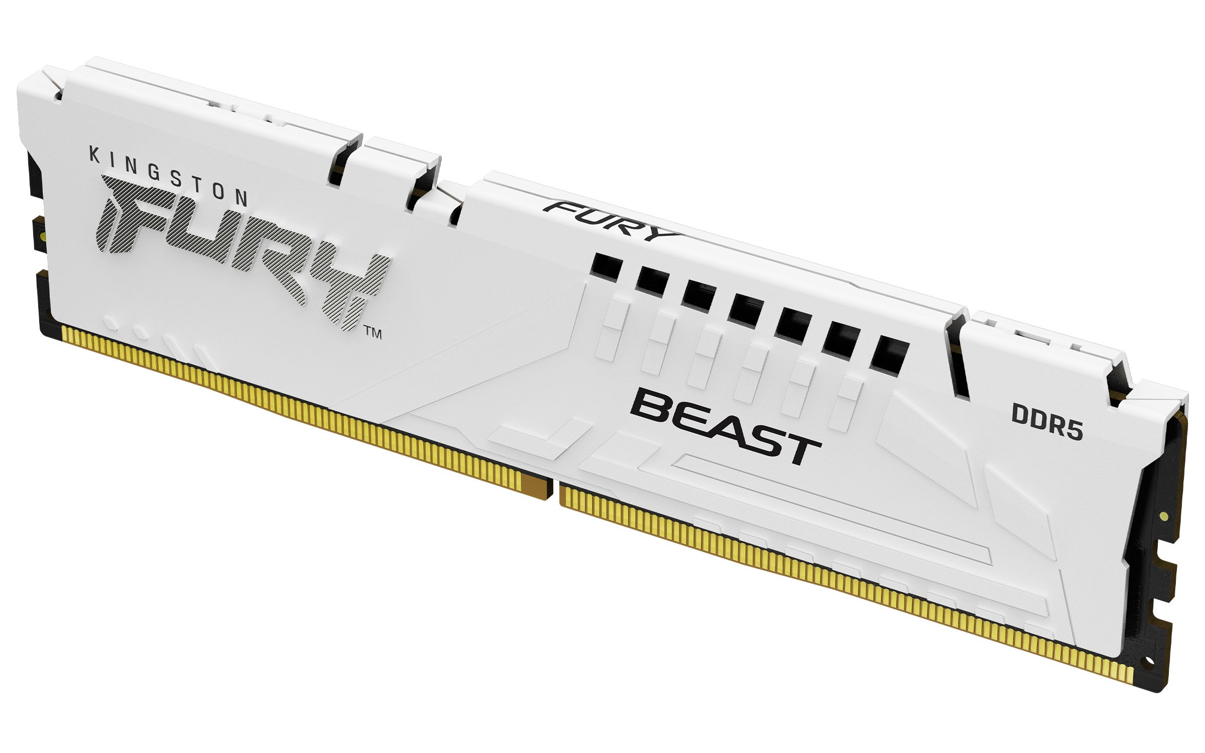 32GB DDR5 6000MT/S CL30 DIMM/FURY BEAST WHITE EXPO