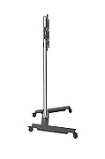 Edbak TR5E monitor mount / stand 165.1 cm (65 ) Floor Black