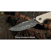 Knife CIVIVI Merit 14C28N OD Green G10 C24012-2