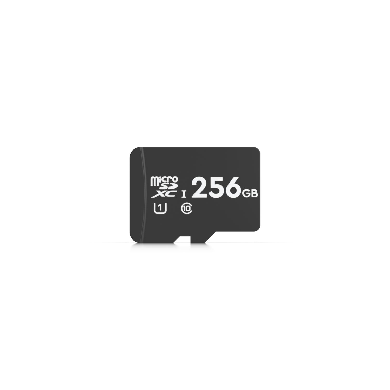 MSD-256GB