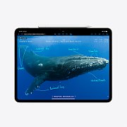 Apple 13-inch iPad Pro (M4) Cellular 2TB with Standard glass - Silver