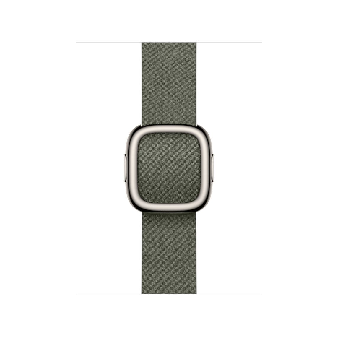 Apple Watch 42mm Modern Buckle: Sage Gray Modern Buckle - Large