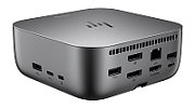 HP Docking Station Thunderbolt Dock G6 100W (9X472UT#ABB)