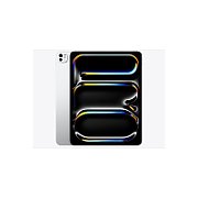 Apple 13-inch iPad Pro (M5) Wi-Fi + Cellular 2TB with Standard Glass - Silver (2025)