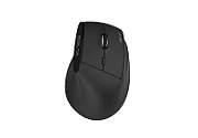 Acer Smart Fit Vertical Mouse  retail pack