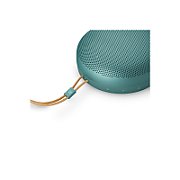 Bang & Olufsen Beosound A1 (3. Generation)  eucalyptus green
