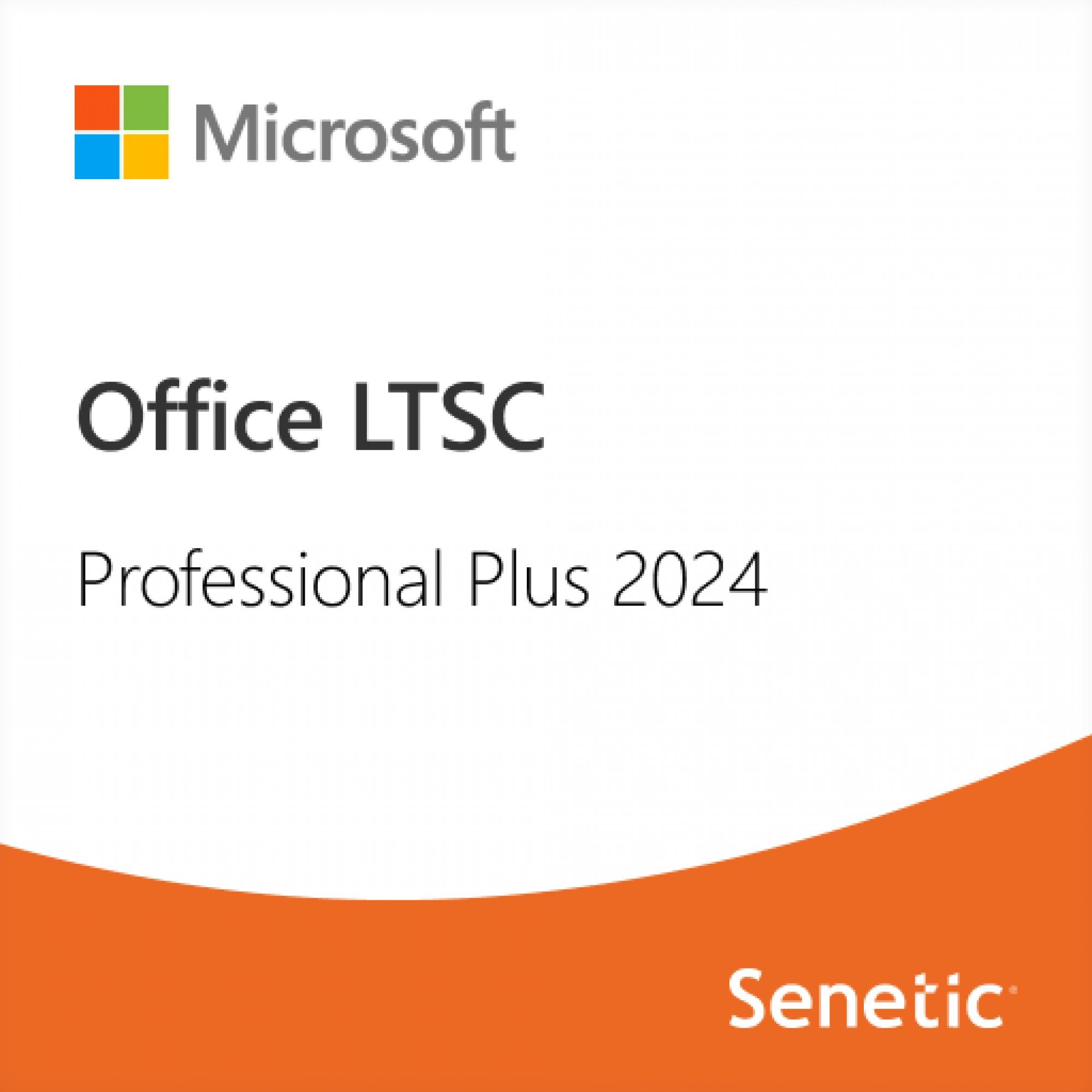 Office LTSC Professional Plus 2024 Commercial Perpetual